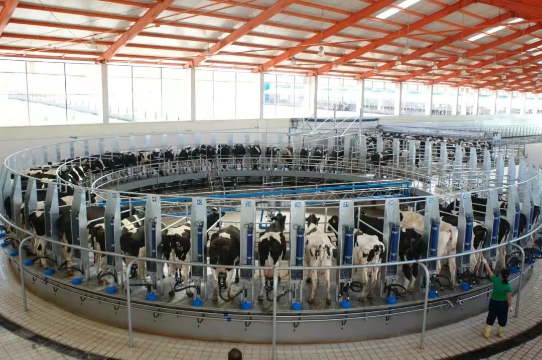 微信圖片_20230203110722.jpg 微信圖片_20230203110722.jpg